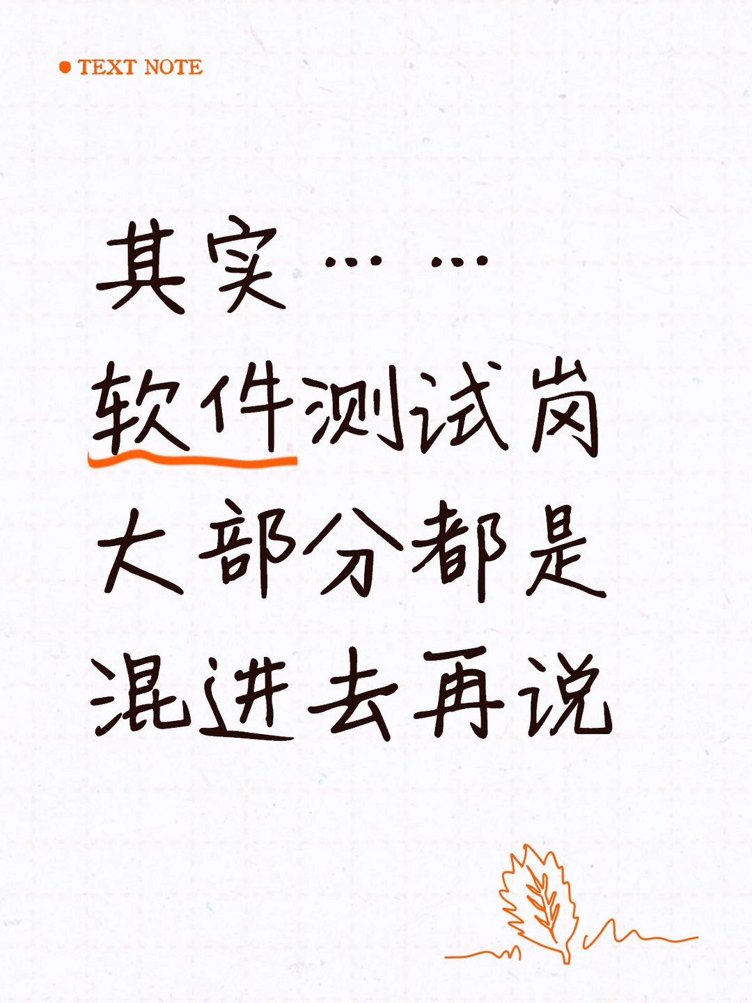 其实，软件测试都是先混进去再说👍