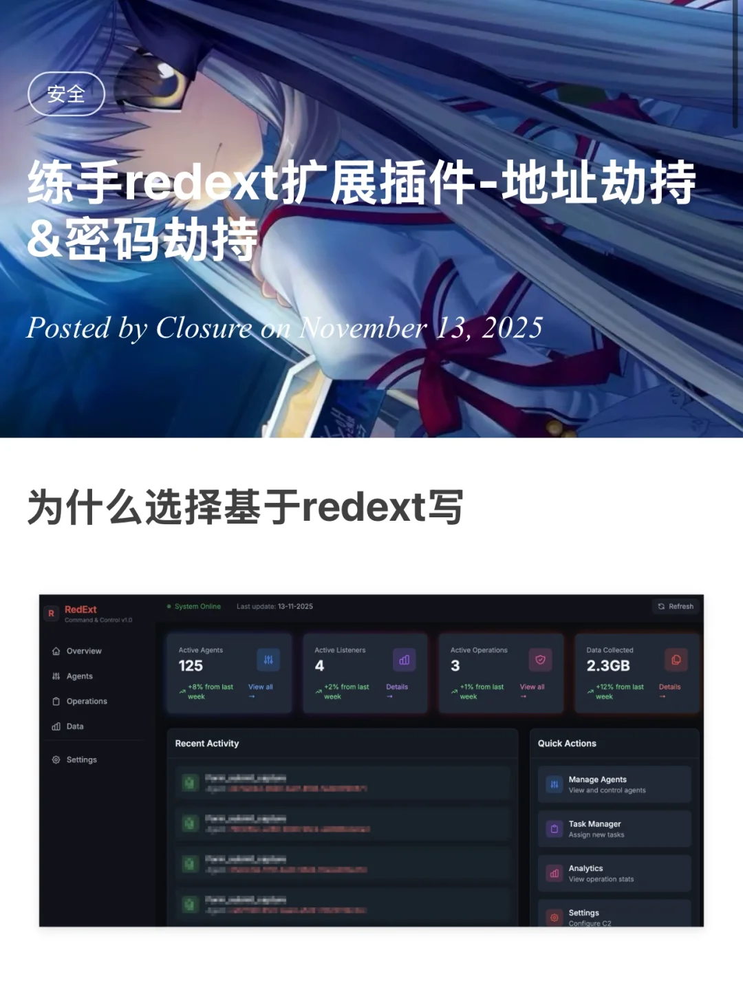 redext扩展插件-地址劫持&密码劫持