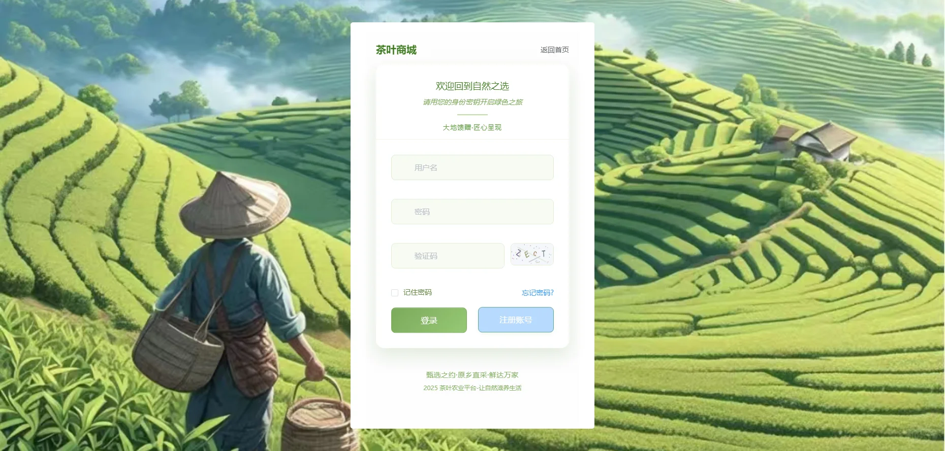 Java茶叶商城销售系统