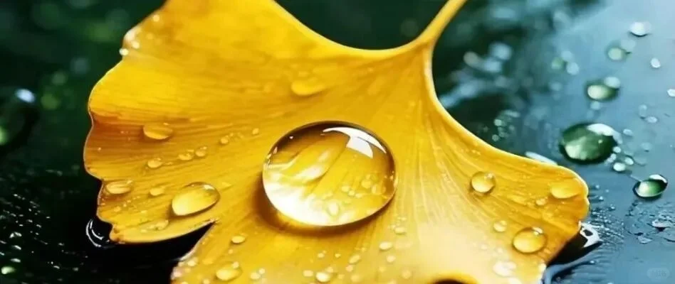 分享个爆款短视频脚本指令，