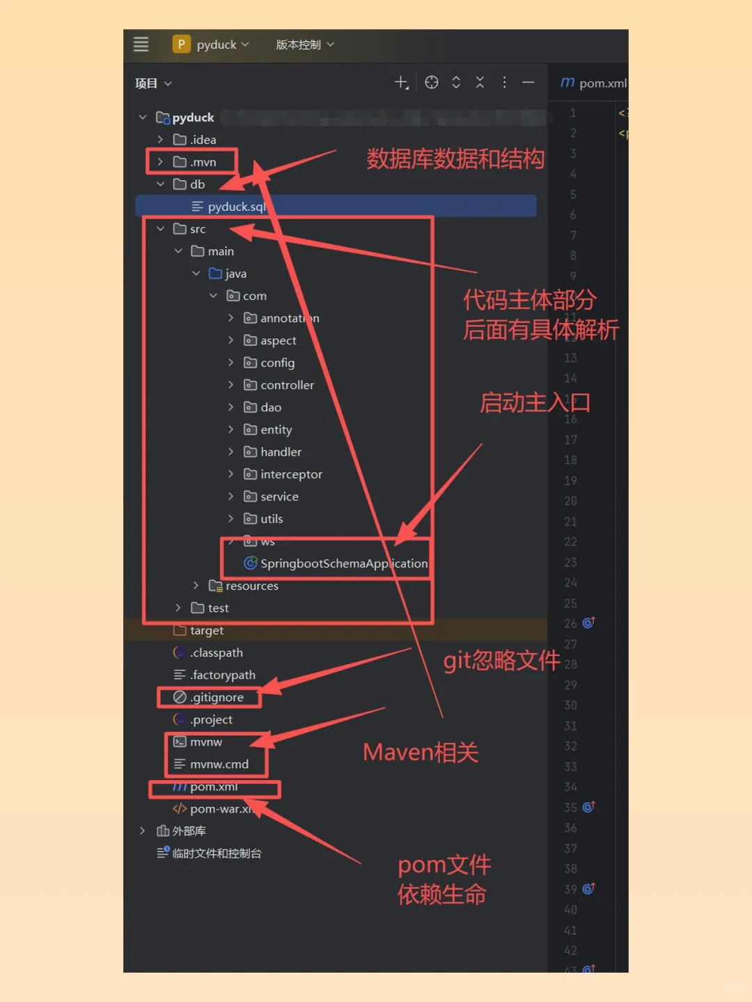常见SpringBoot成品源码毕设结构