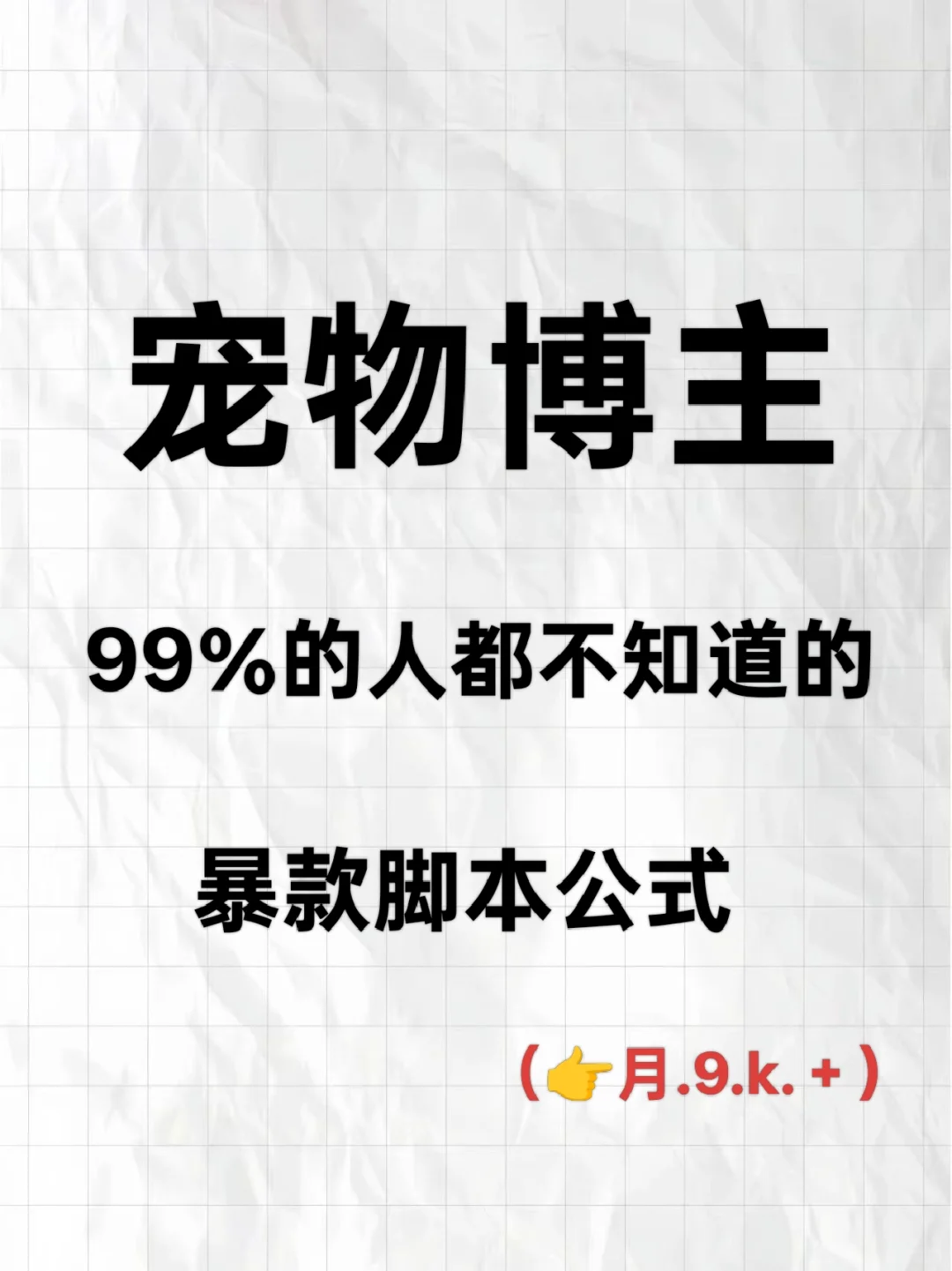 宠物博主暴🔥款脚本公式！
