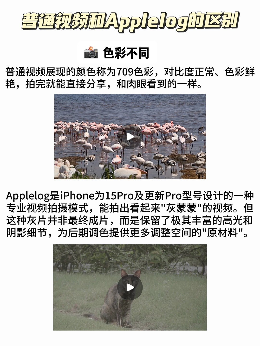 iPhone拍Applelog和普通视频有什么区别？