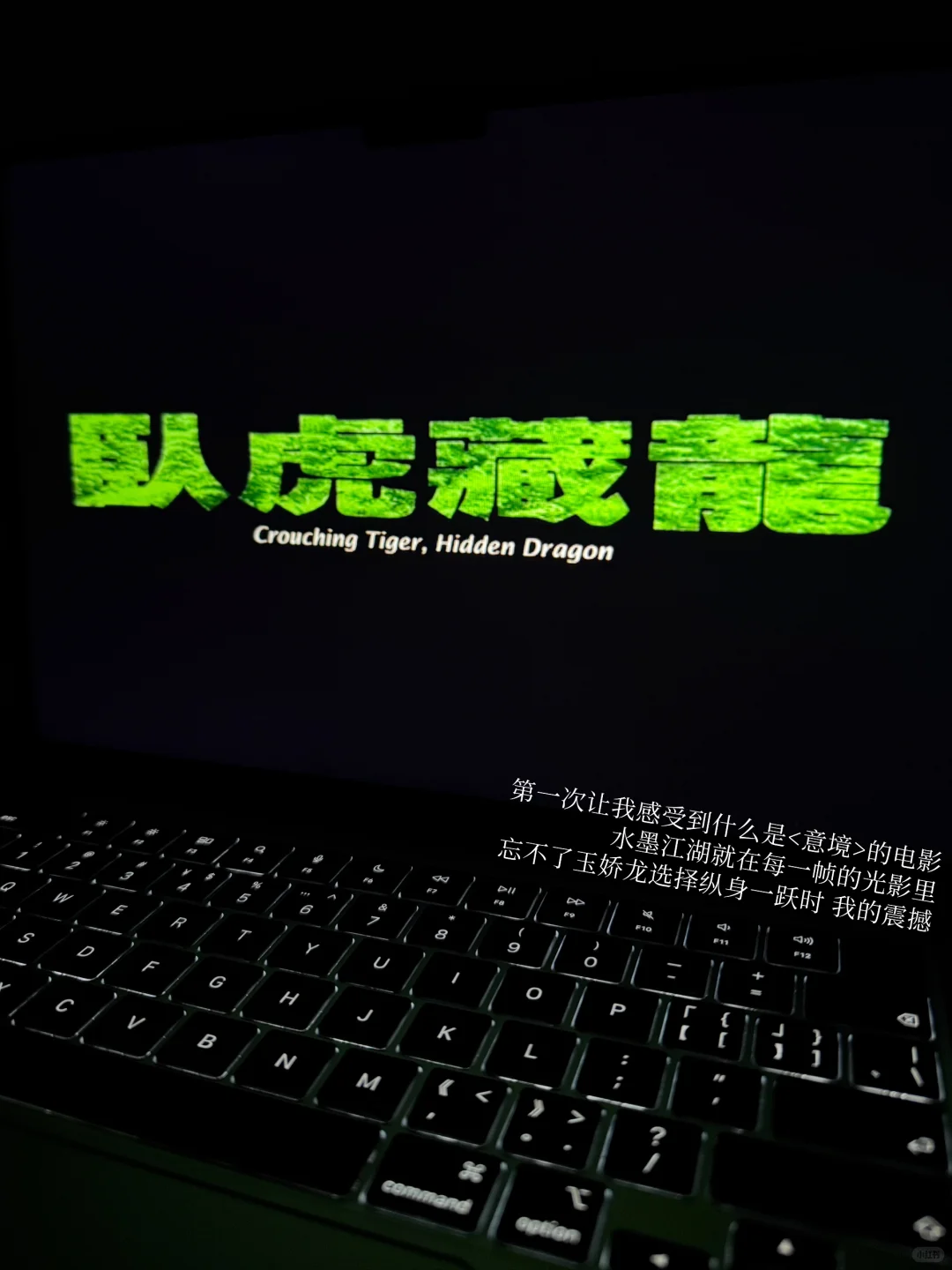 🎬港大文化研究/必看电影片单分享(2)