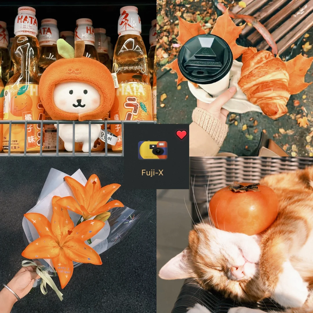 你的滤镜APP已经很多了？不，你缺的是这一个！