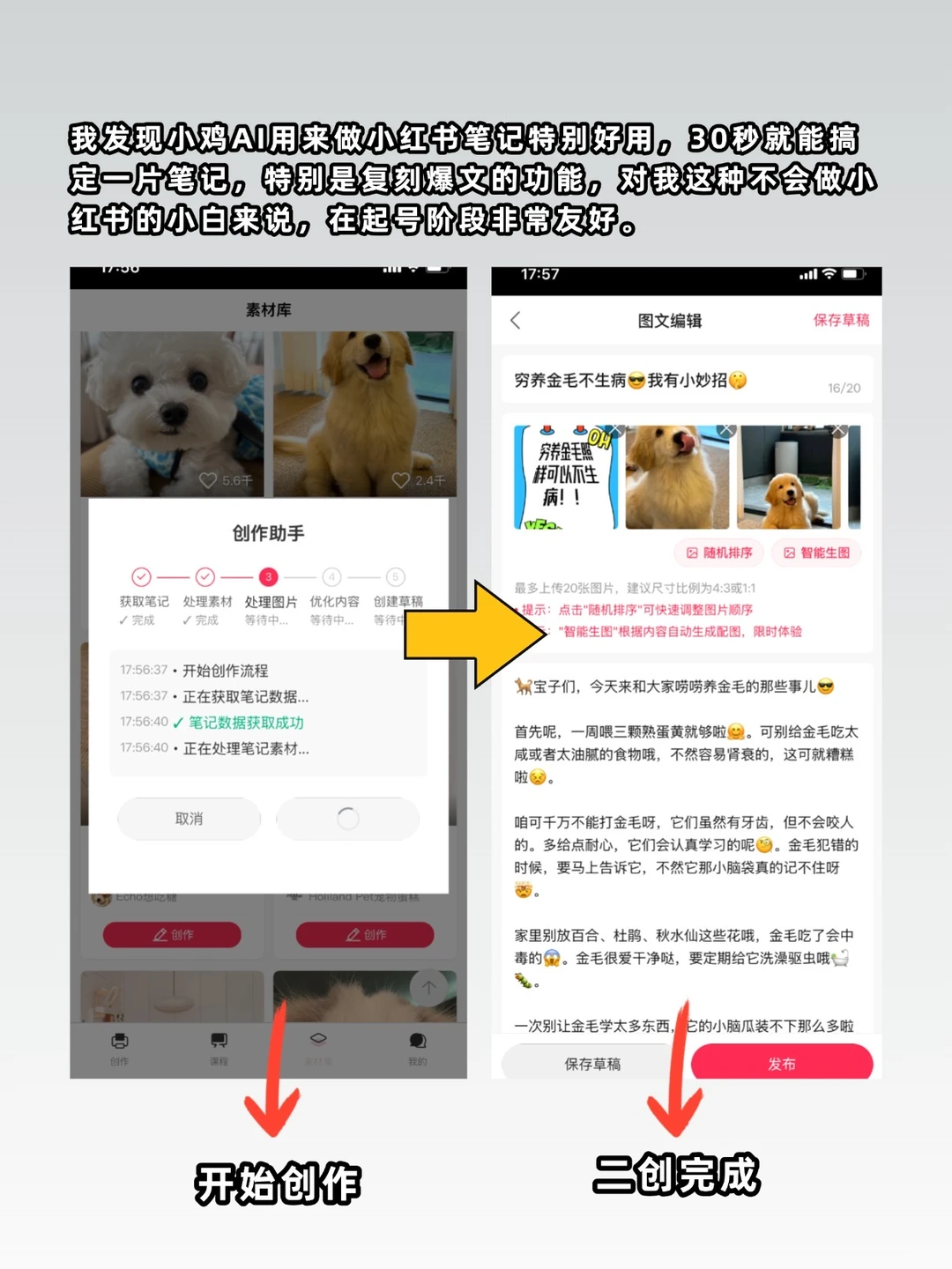 适合新手‼️我用它真的太方便了