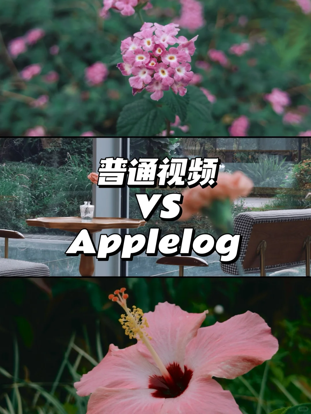 iPhone拍Applelog和普通视频有什么区别？