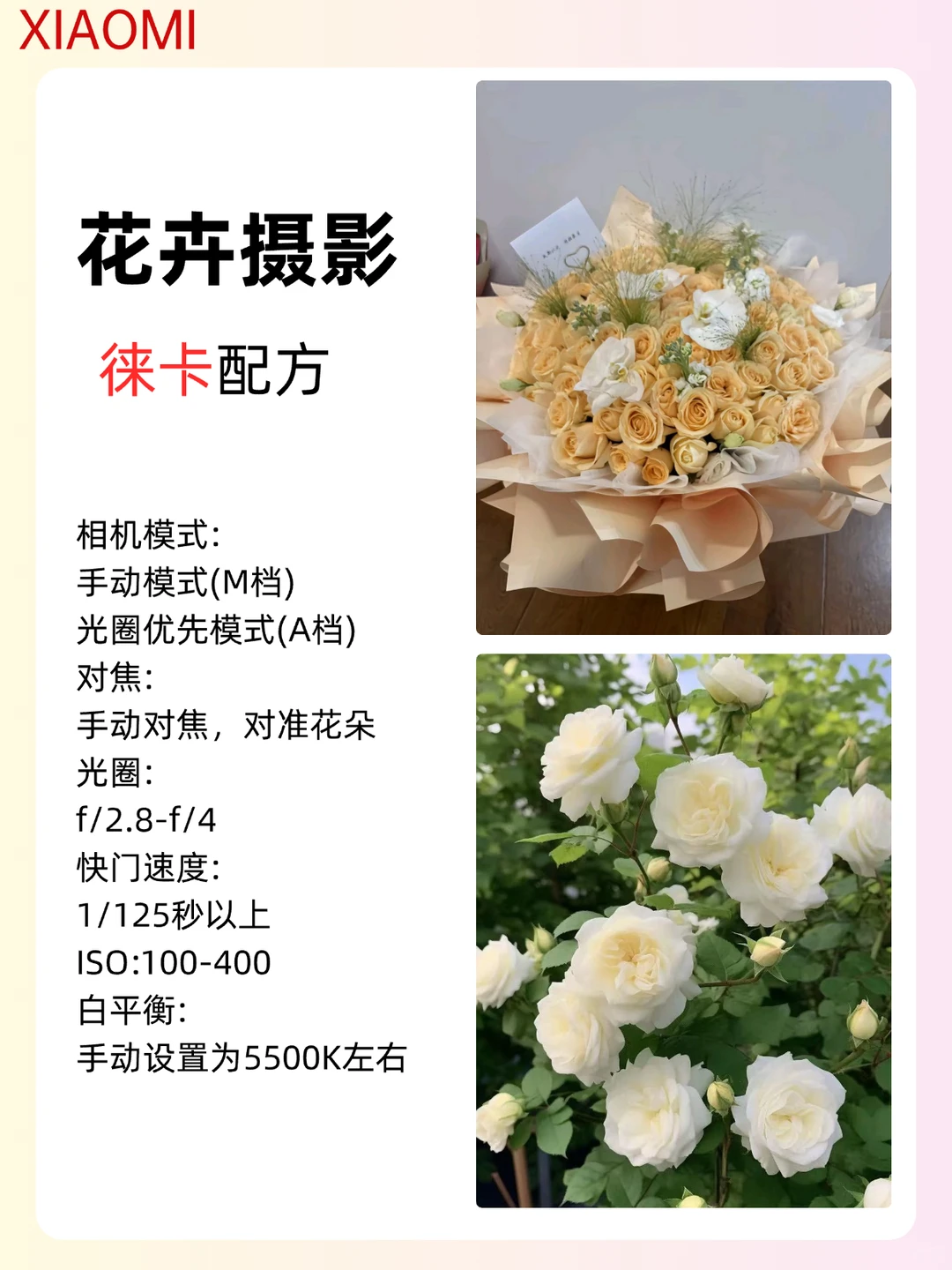 用小米的存了吧，很难找全啦！