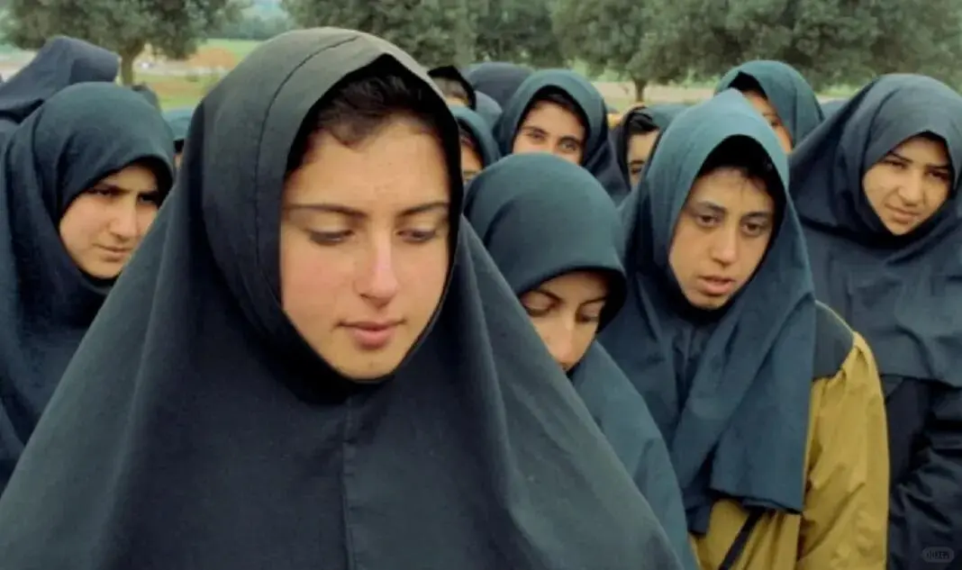 电影🎬《橄榄树下的情人》插画绘画4