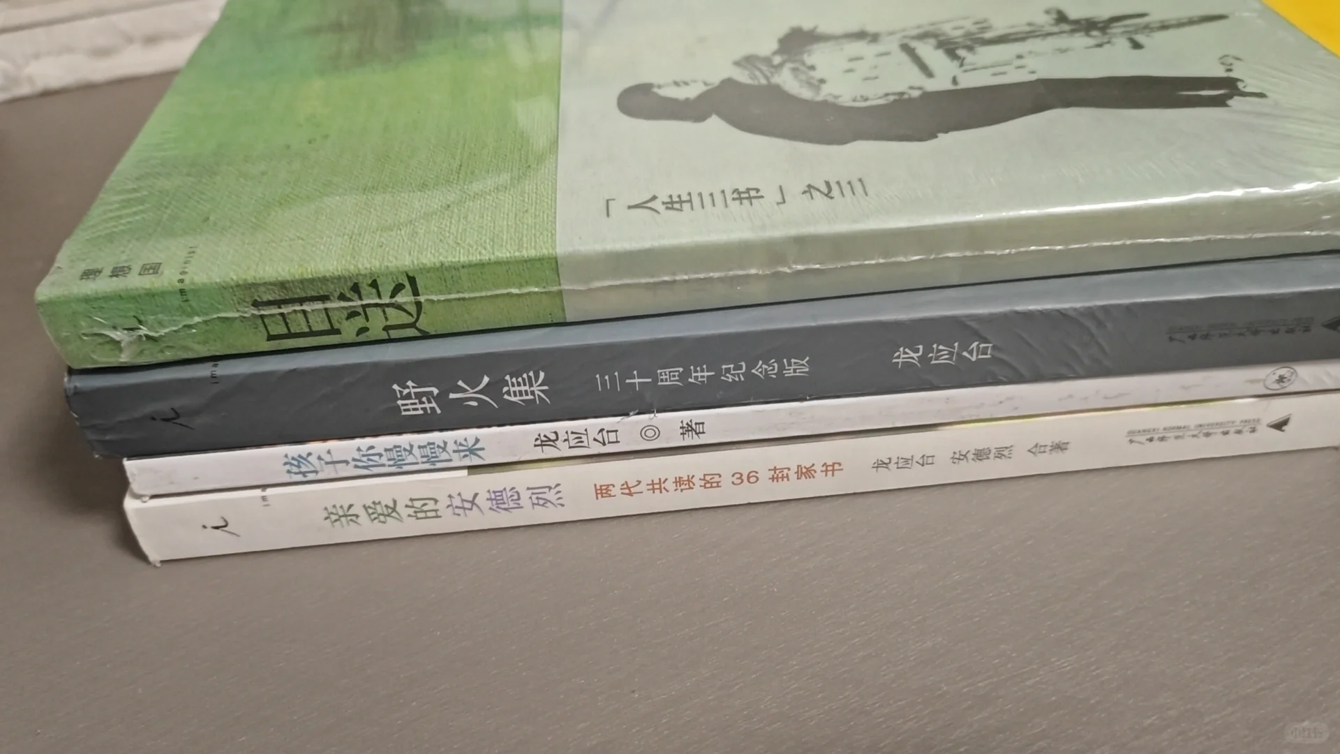 龙应台目送，野火集，孩子慢慢来，安德烈