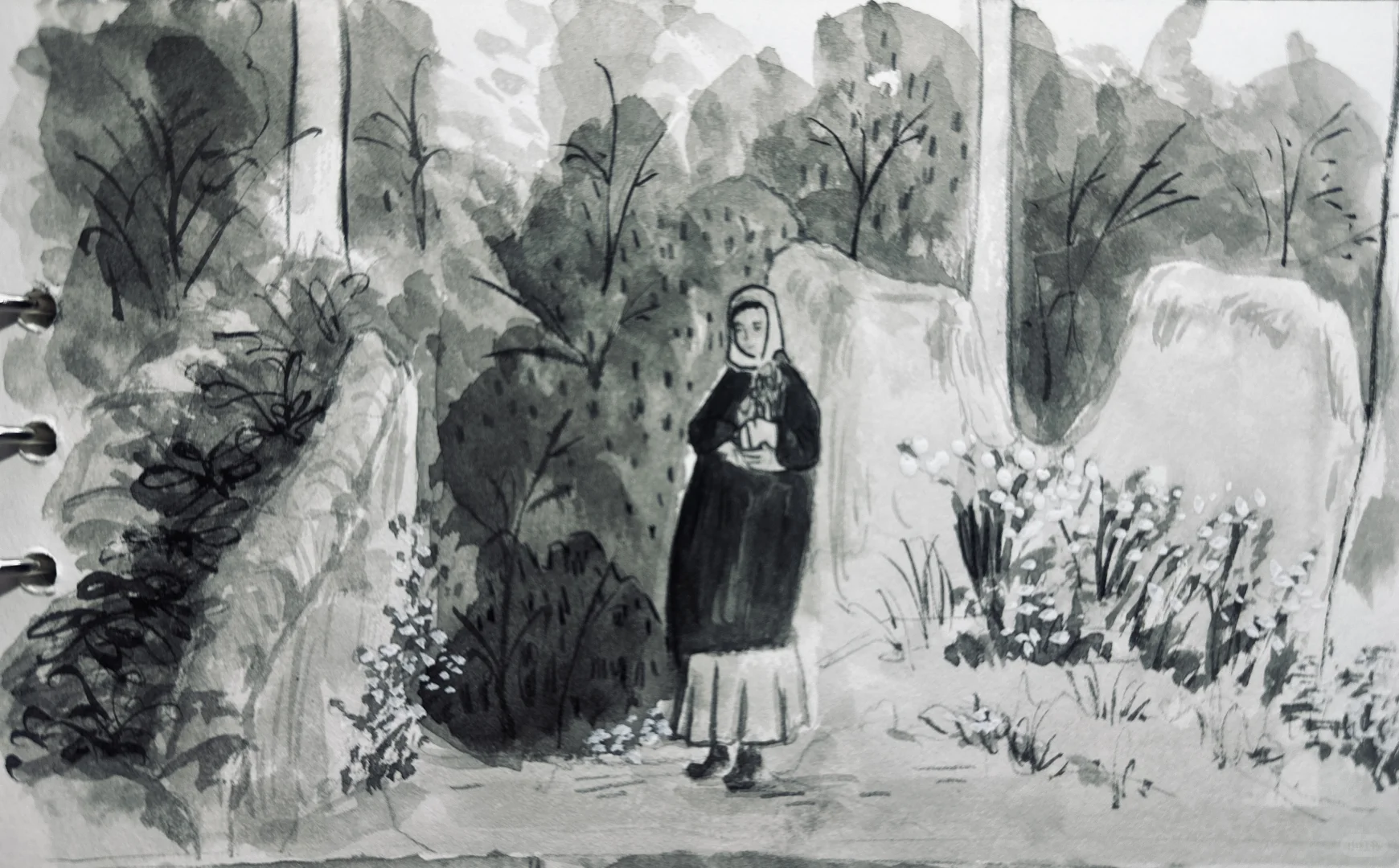 电影🎬《橄榄树下的情人》插画绘画4