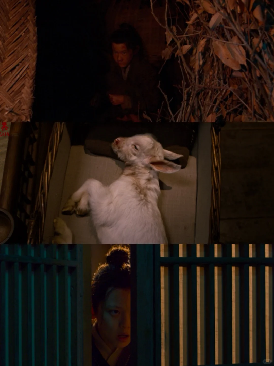 又菜又爱看本人，这次被《皮囊》狠狠拿捏了