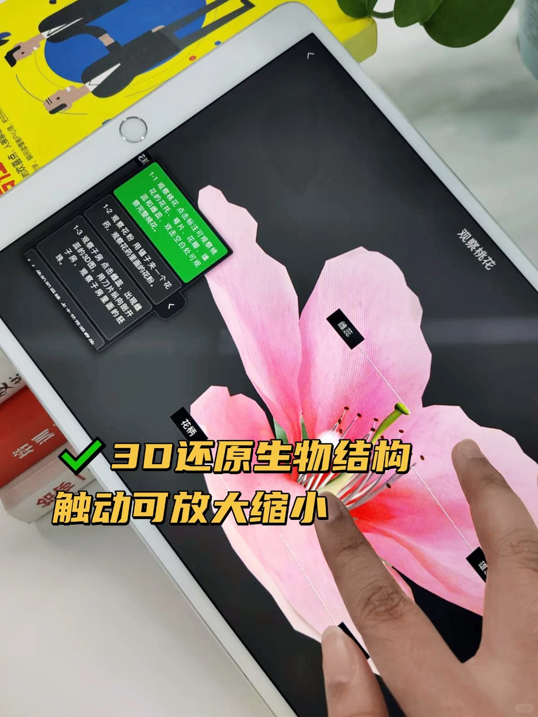 这样学理科真的很爽 谁懂！！！