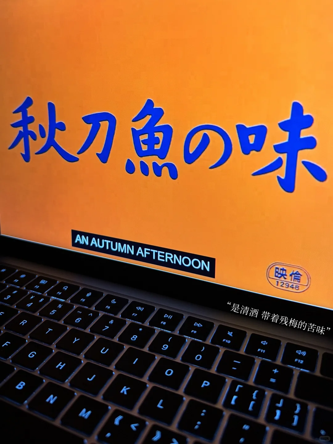 🎬港大文化研究/必看电影片单分享(2)