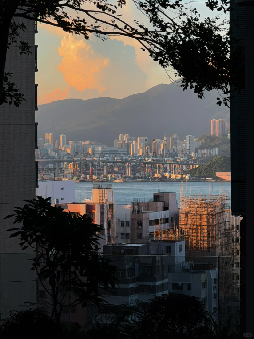 🎬港大文化研究/必看电影片单分享(2)