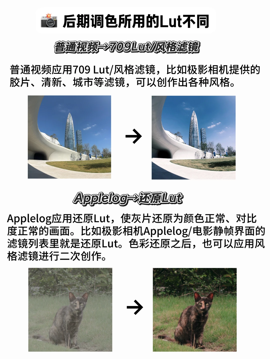 iPhone拍Applelog和普通视频有什么区别？