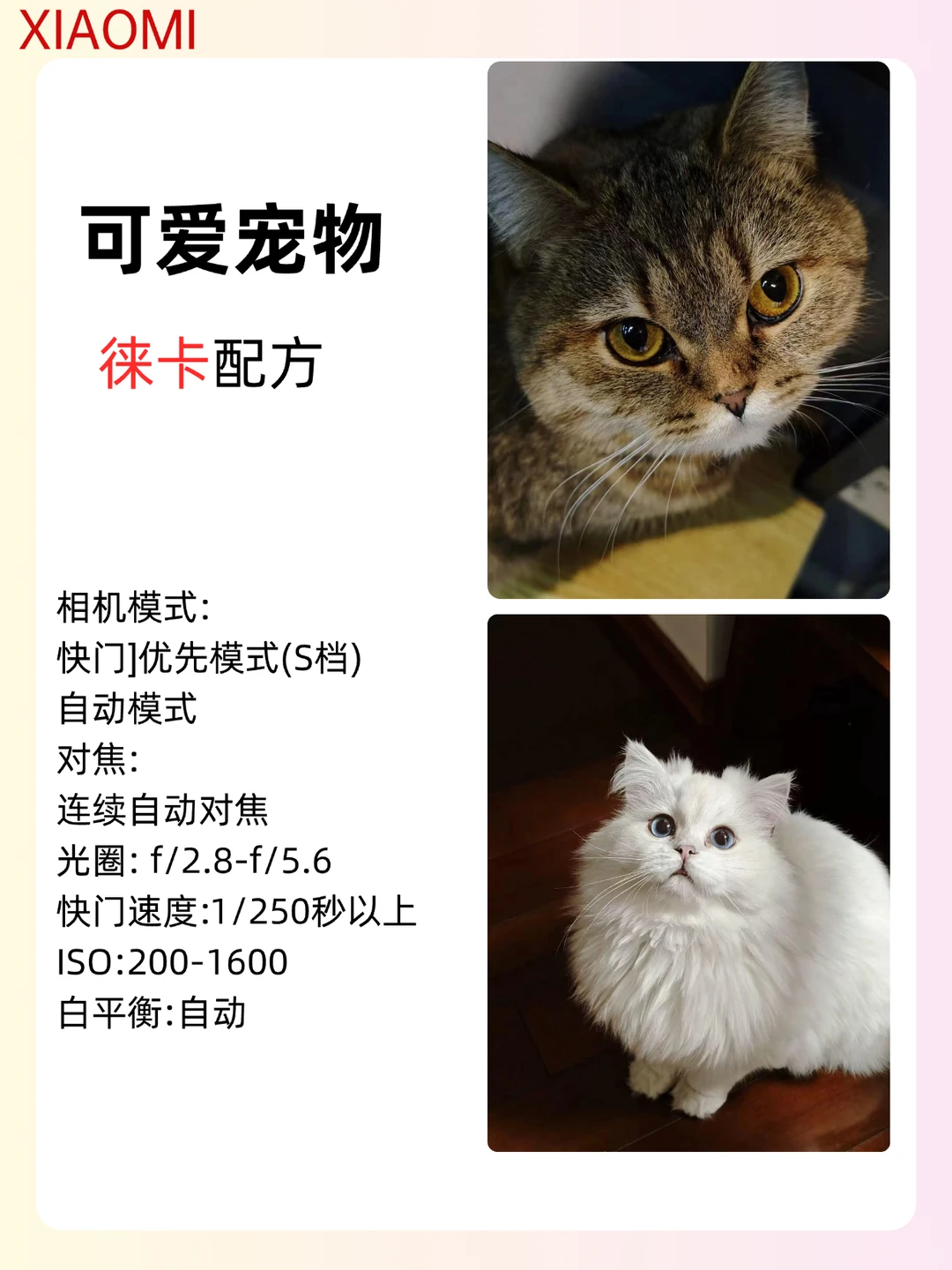 用小米的存了吧，很难找全啦！