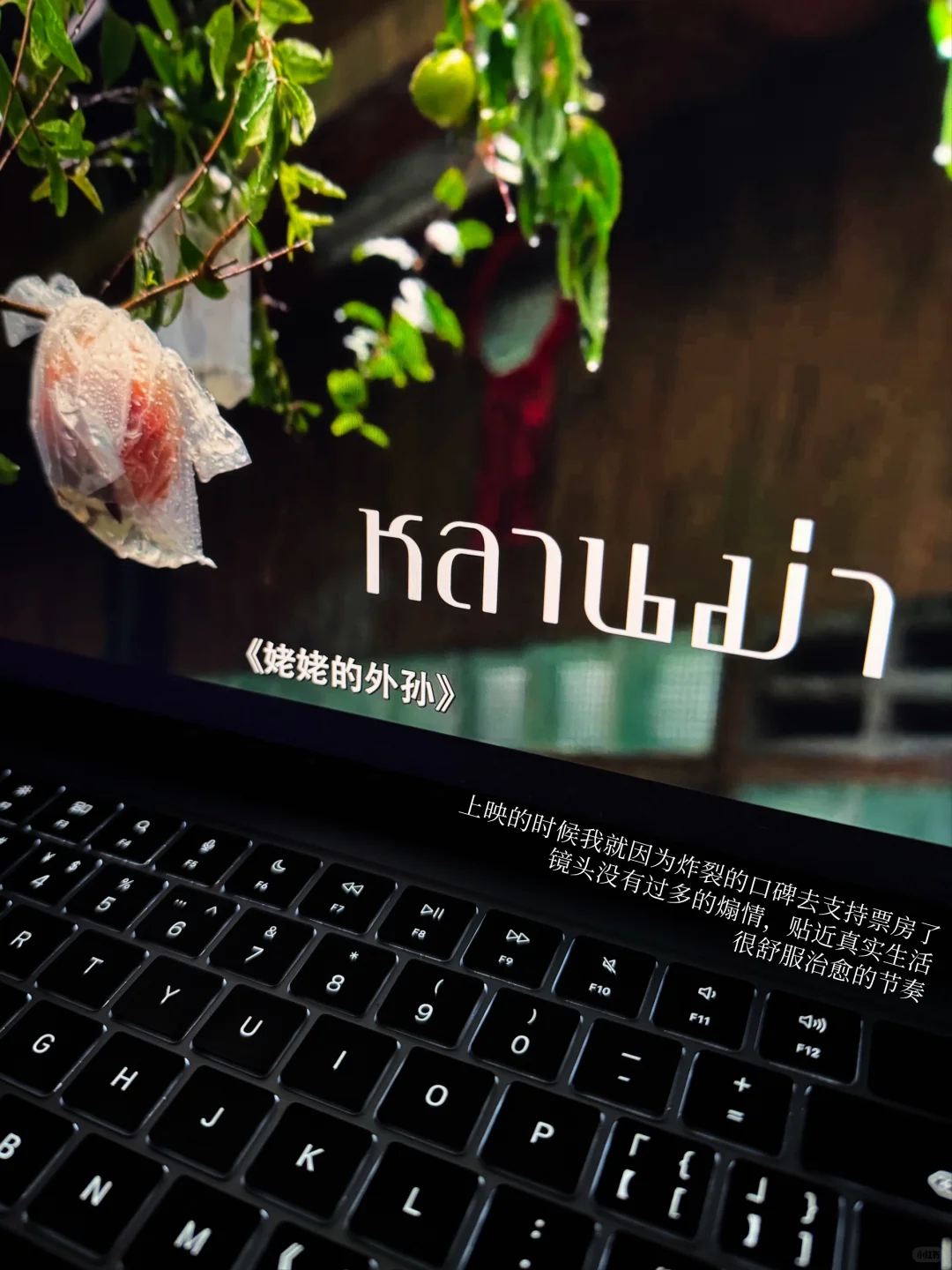 🎬港大文化研究/必看电影片单分享(2)