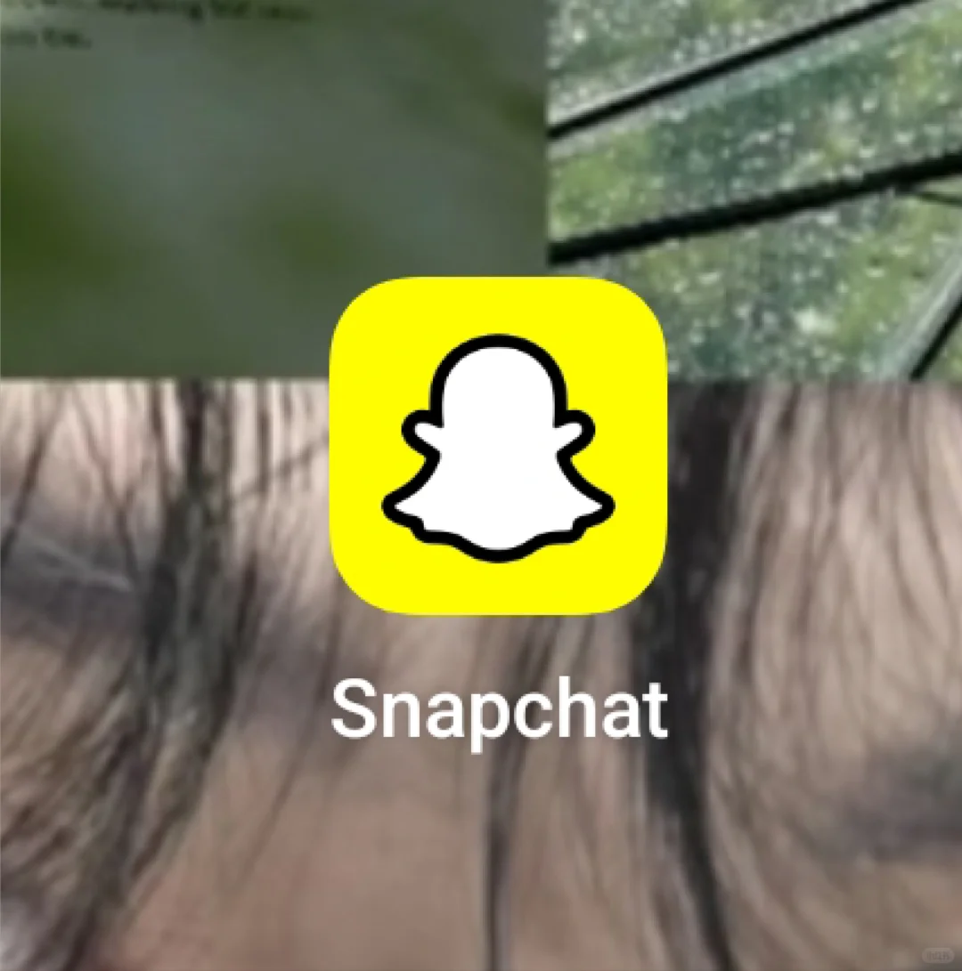 安卓不会下这个的私我！