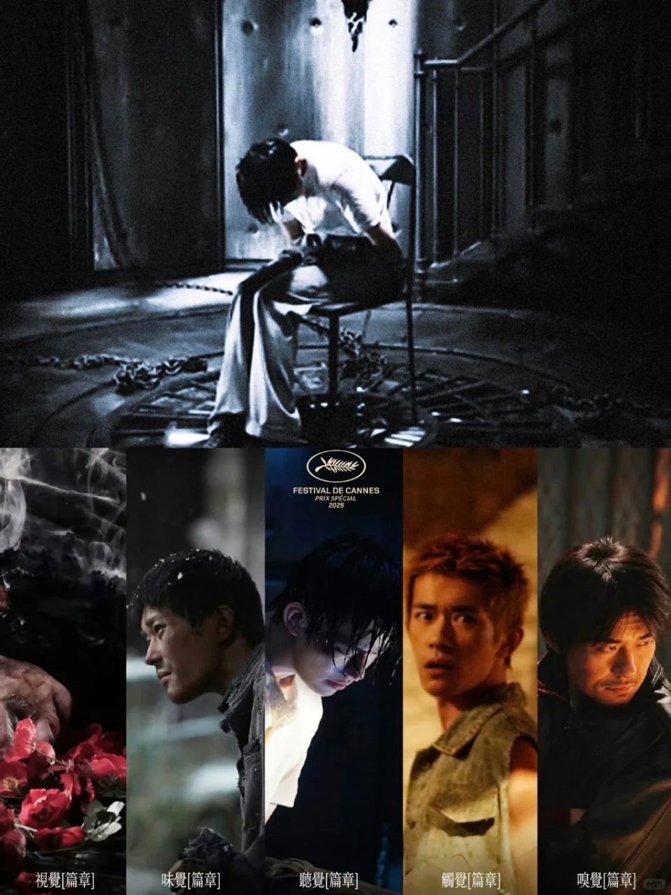 不得不服❗️易烊千玺的演技还是太权威了…