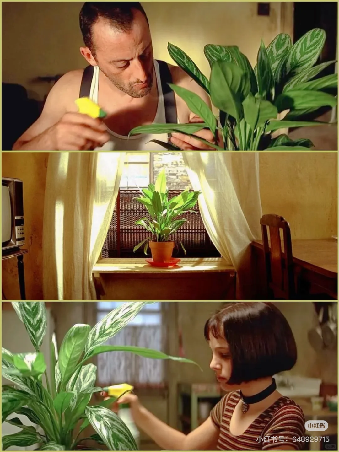 电影🎬《这个杀手不太冷》插画绘画5