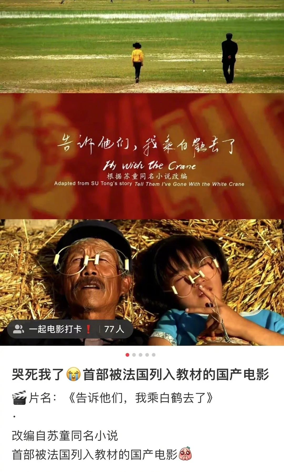 刷完这些电影🎬震撼到失语🥹
