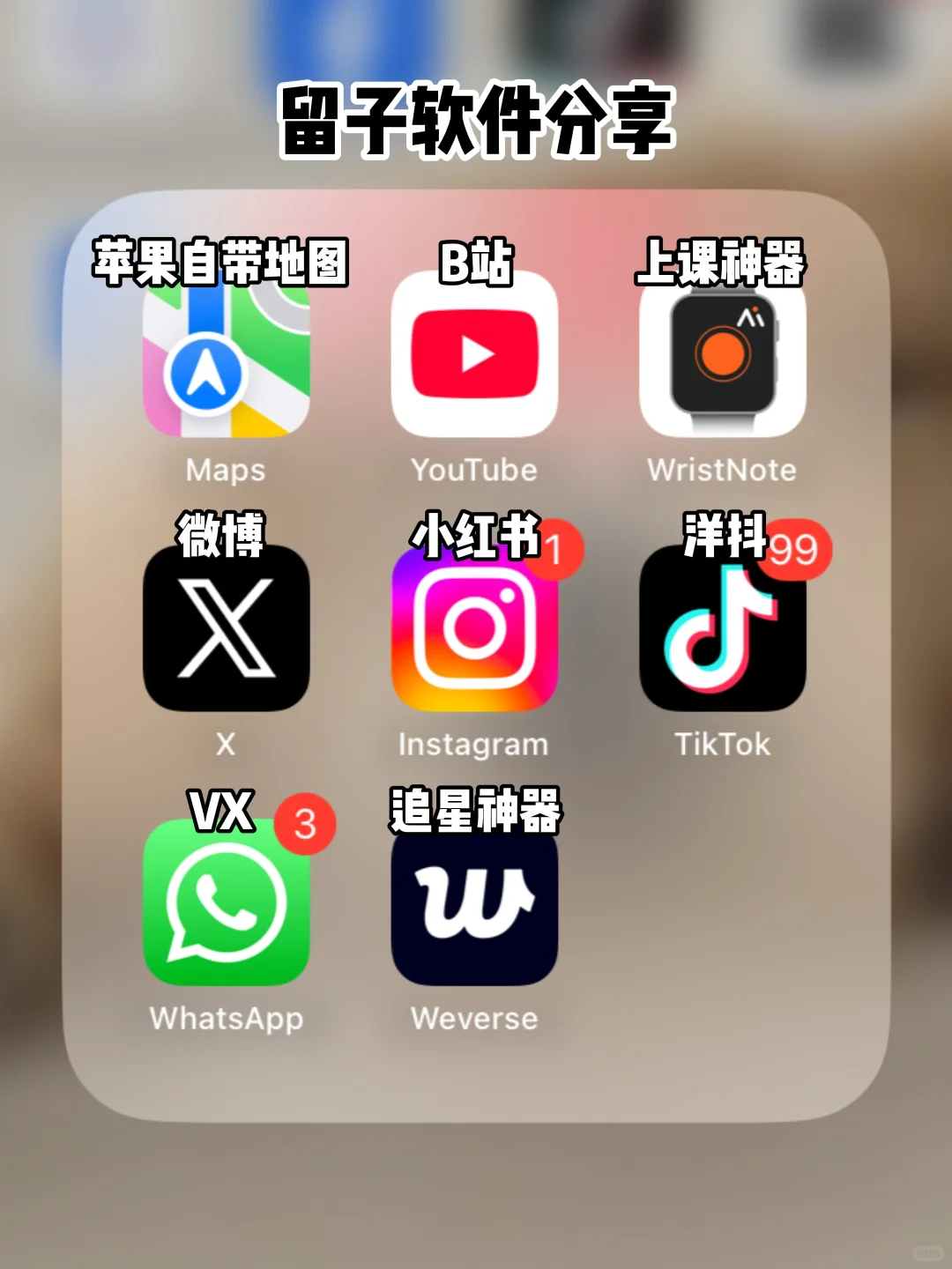 赶due期间就是觉得什么都好玩