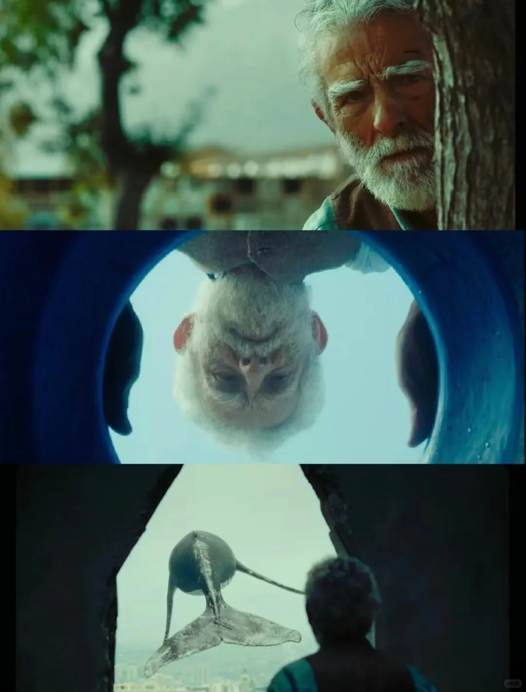 我要向全世界推荐这部电影‼️后劲太大了