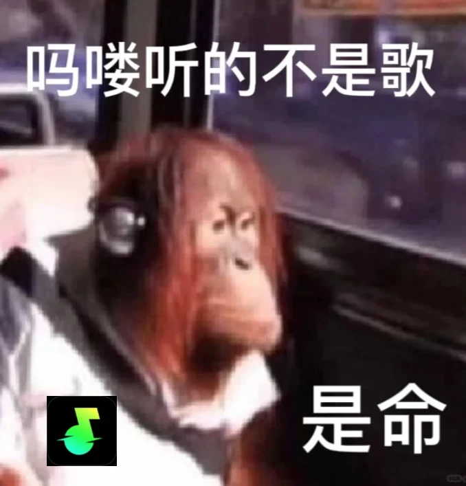 🎶挖到宝！免费无损音乐APP音质绝了