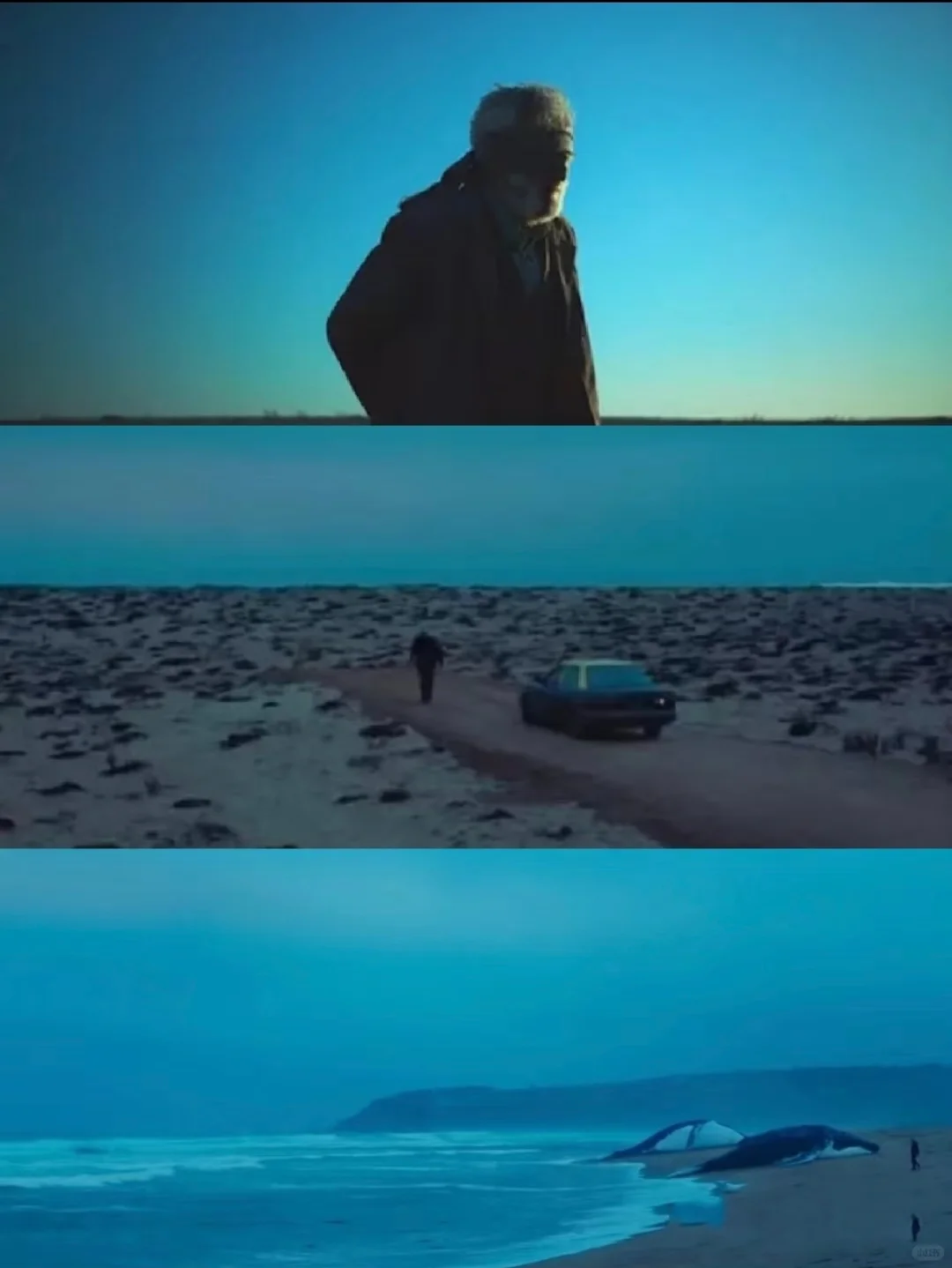 我要向全世界推荐这部电影‼️后劲太大了