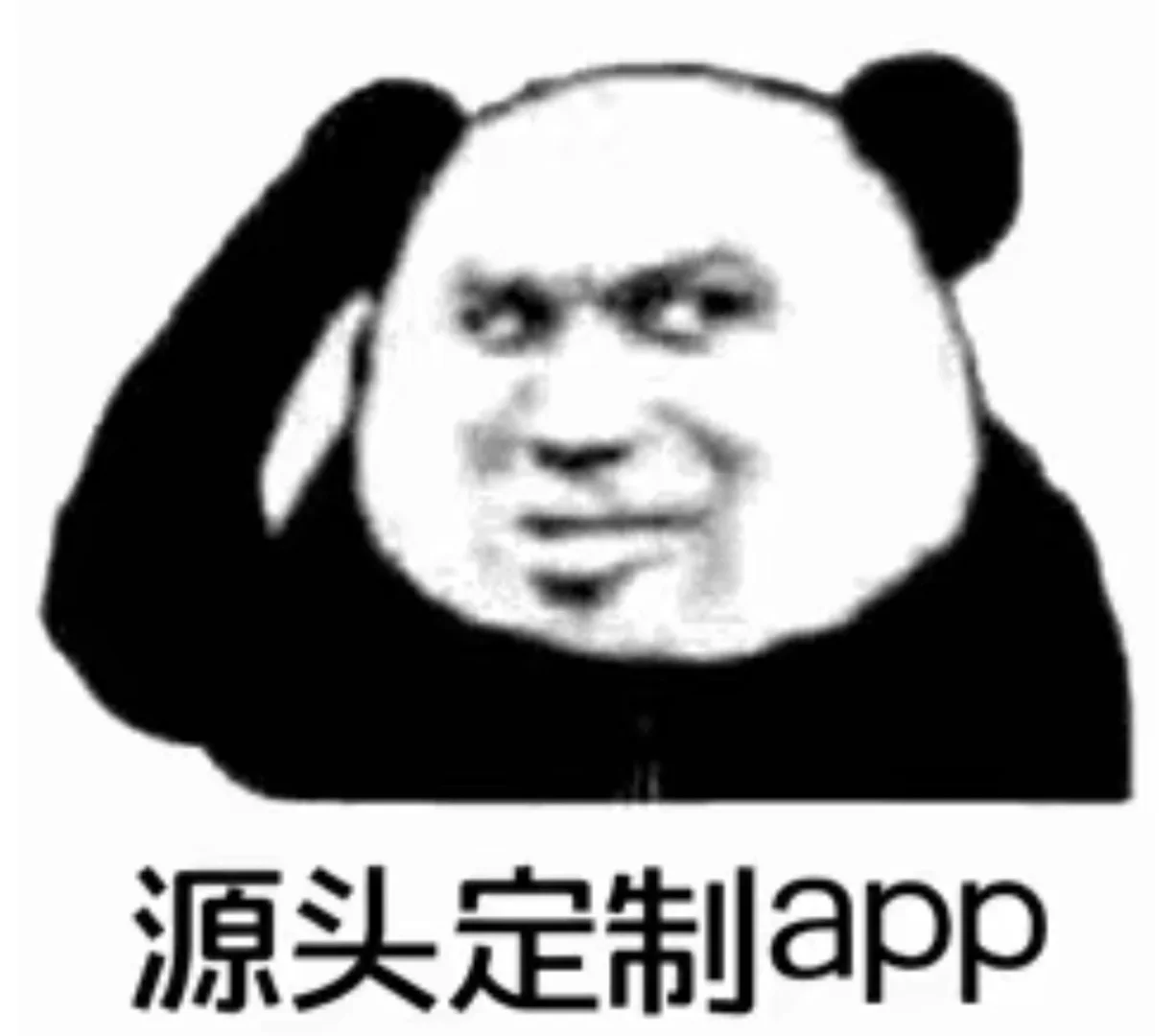 承接各类开发项目