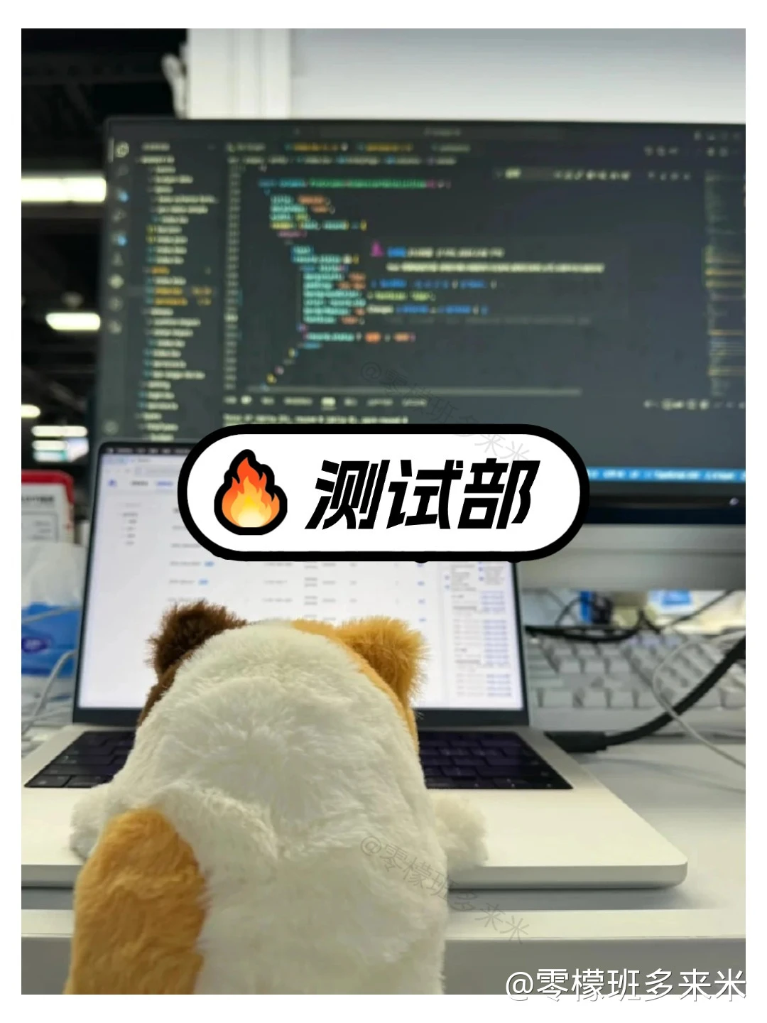 自动化测试进步最快方式没有之一（野路子版