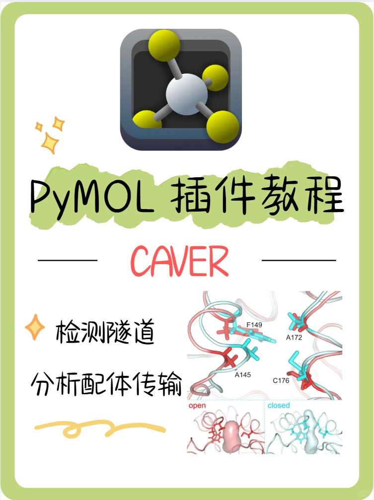 PyMOL插件教程 | 使用 CAVER 隧道分析