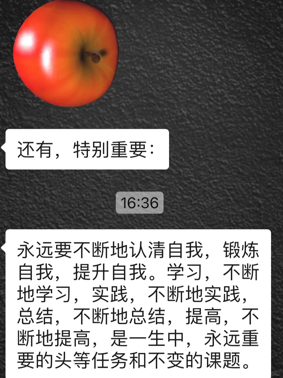 我觉得源码的IR挺专业的