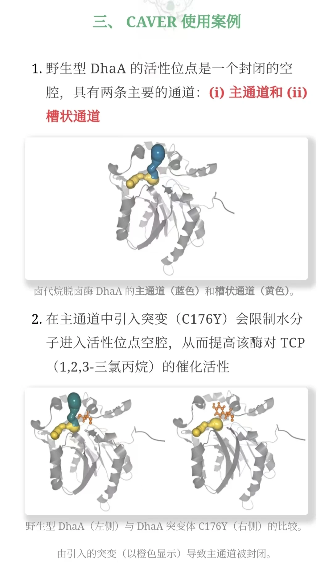 PyMOL插件教程 | 使用 CAVER 隧道分析