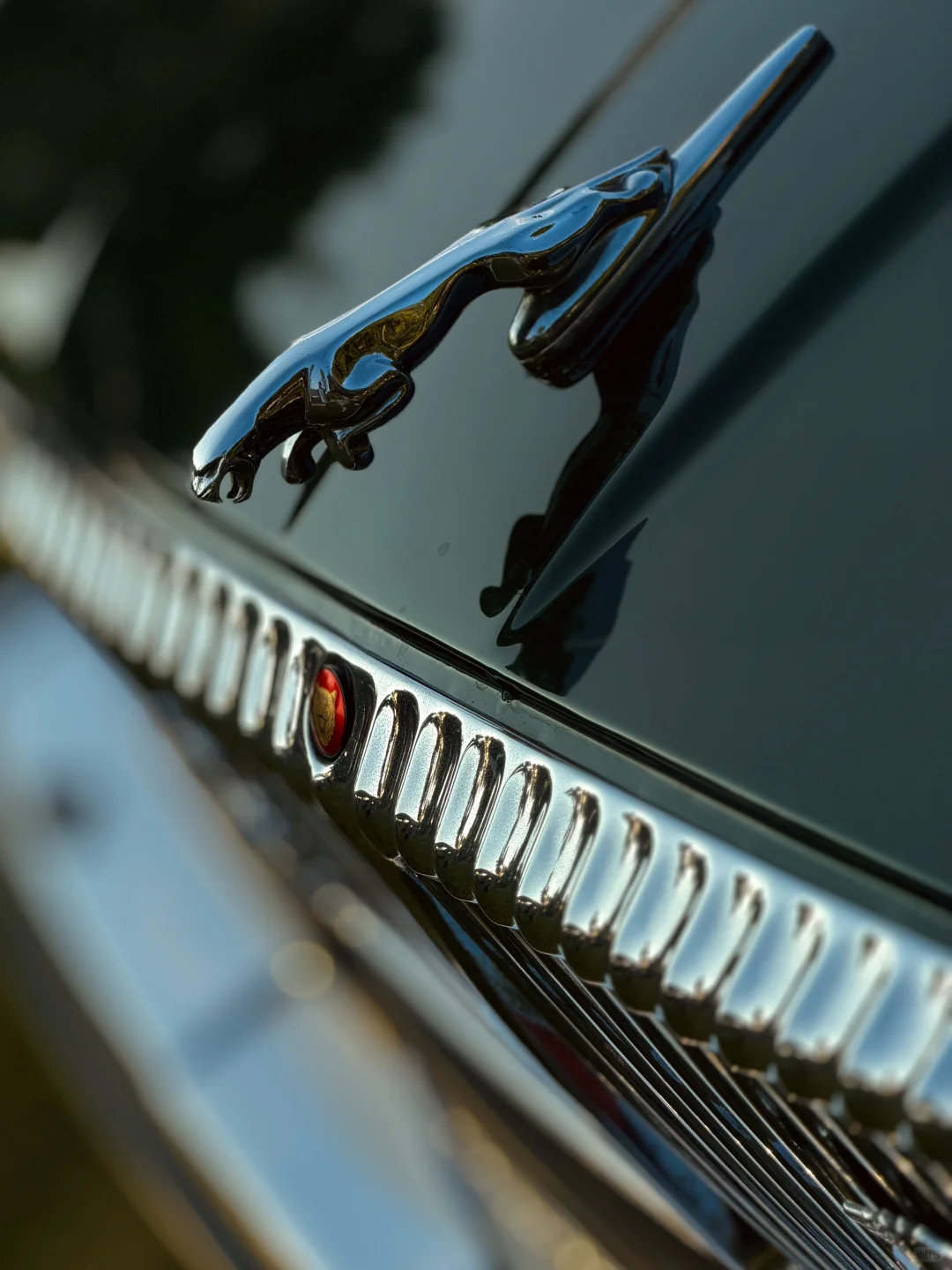 出自用捷豹XJ40 vanden plus版本