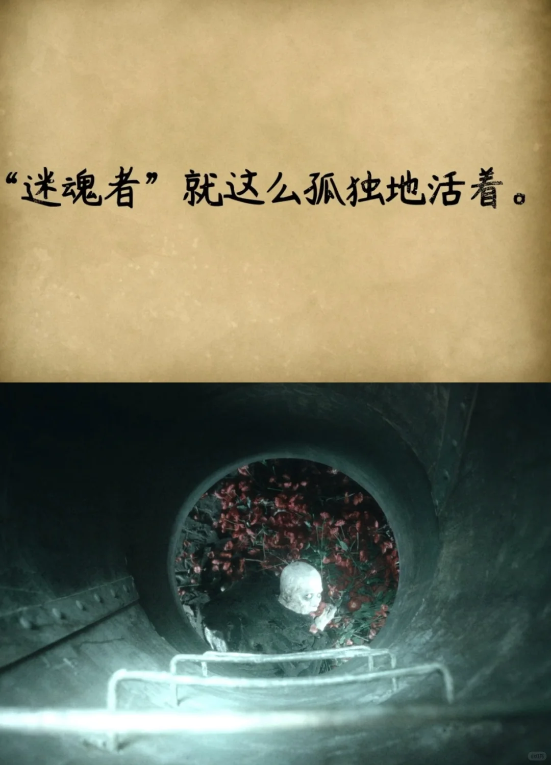 怎么才能享受这部电影？看不懂的狂野时代❗