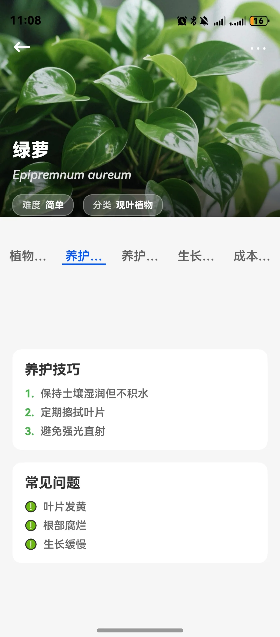 原来植物也有养护助手啊～