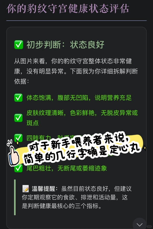 娃说想养蜥蜴怎么办|灵光App说交给它