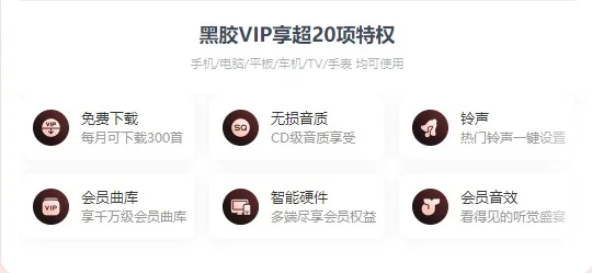 🎉【55元网易云黑胶VIP年卡】真香警告!💥
