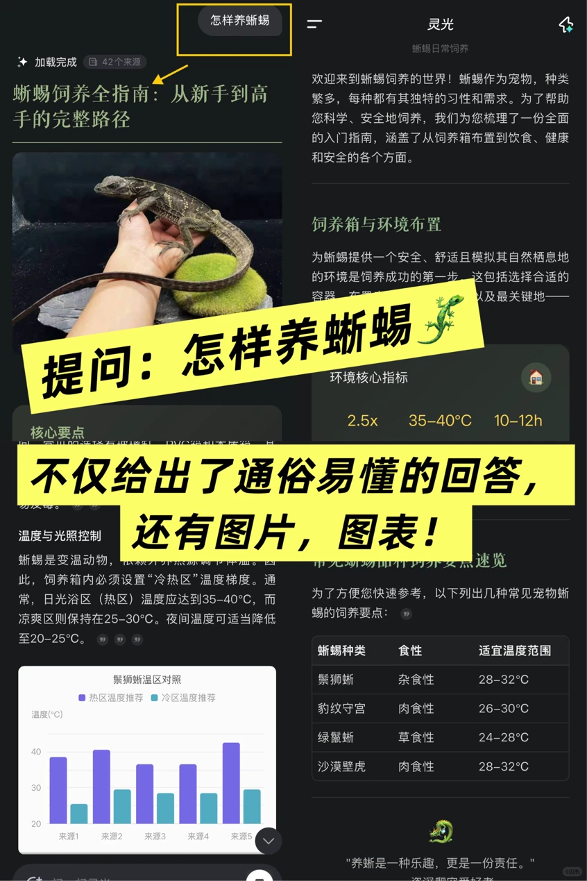娃说想养蜥蜴怎么办|灵光App说交给它