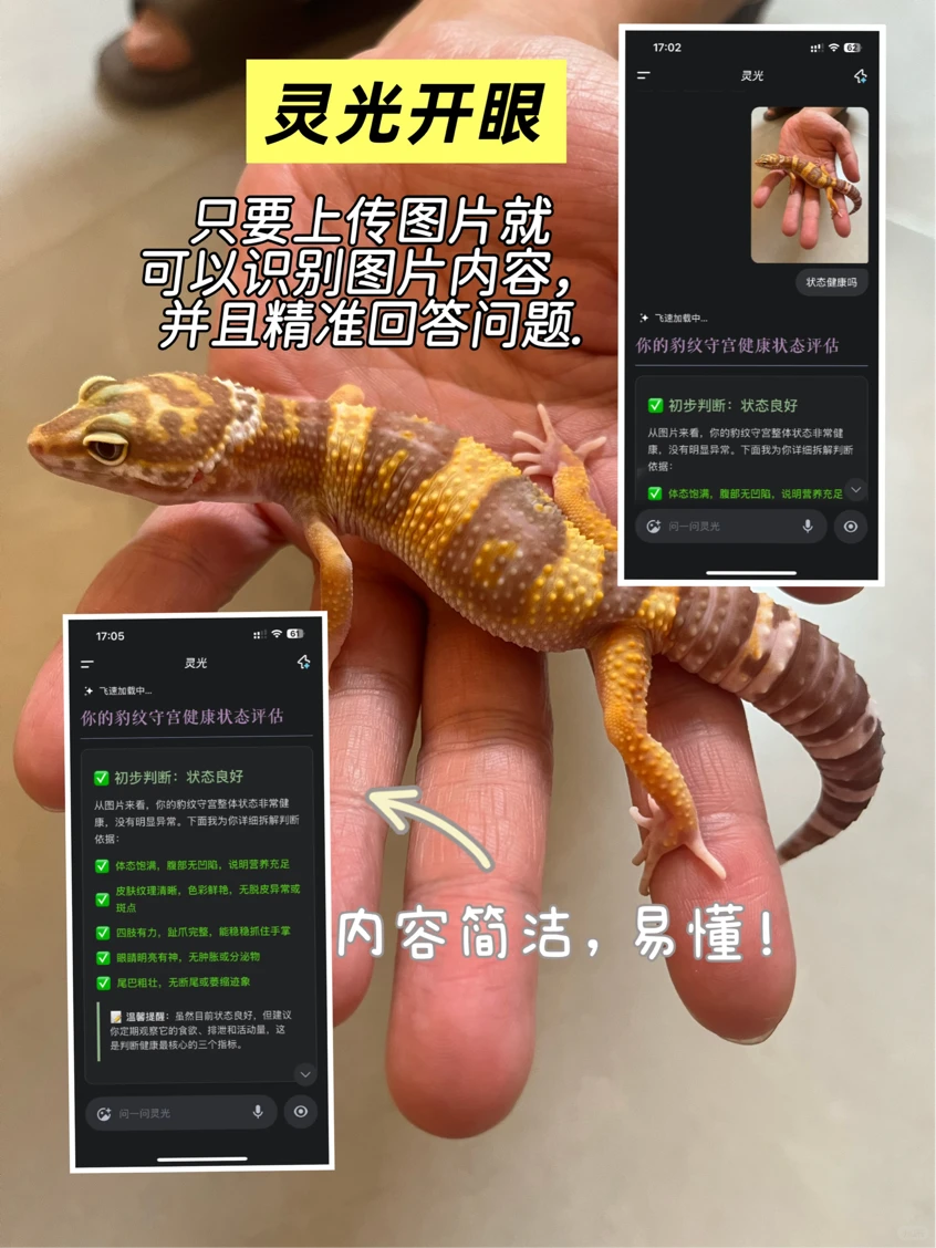 娃说想养蜥蜴怎么办|灵光App说交给它