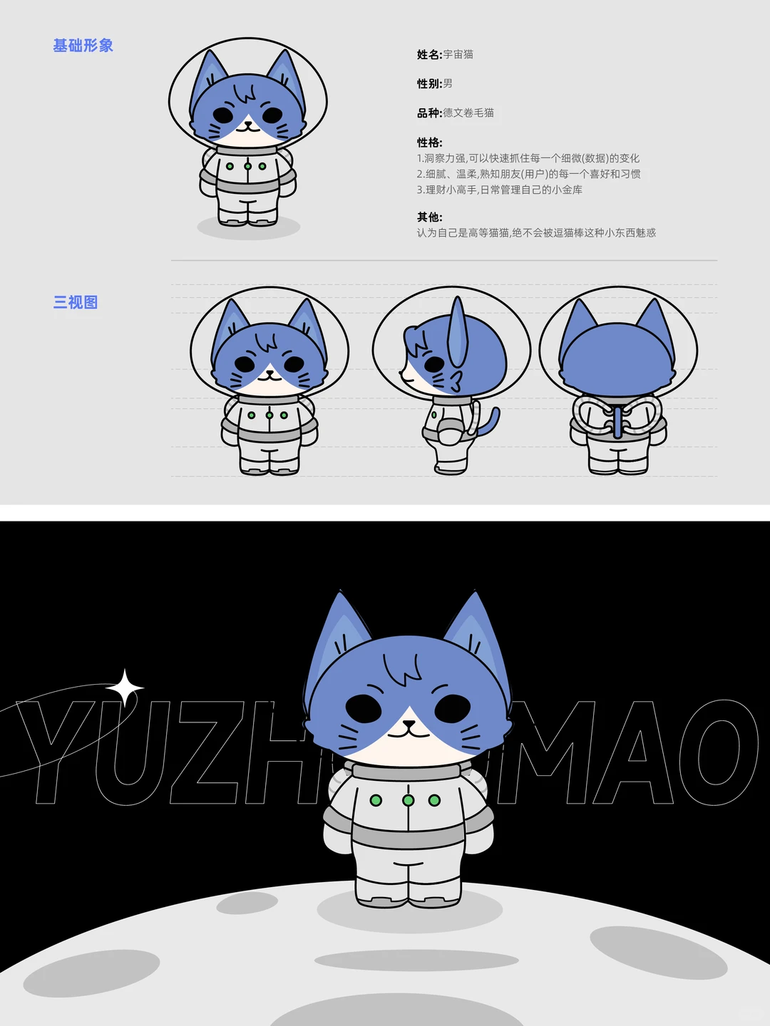 ip | 来自外太空的猫