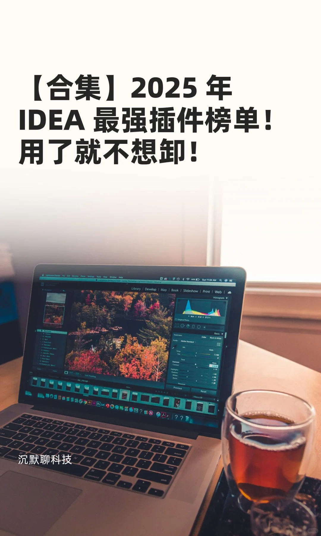 【合集】2025 年 IDEA 最强插件榜单！用了