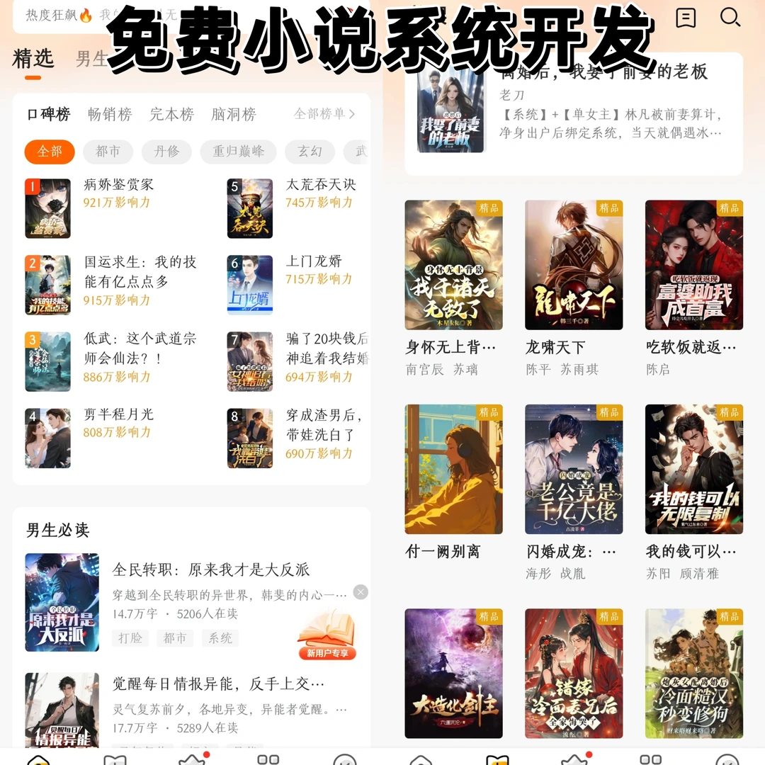 小说系统能做哪些功能