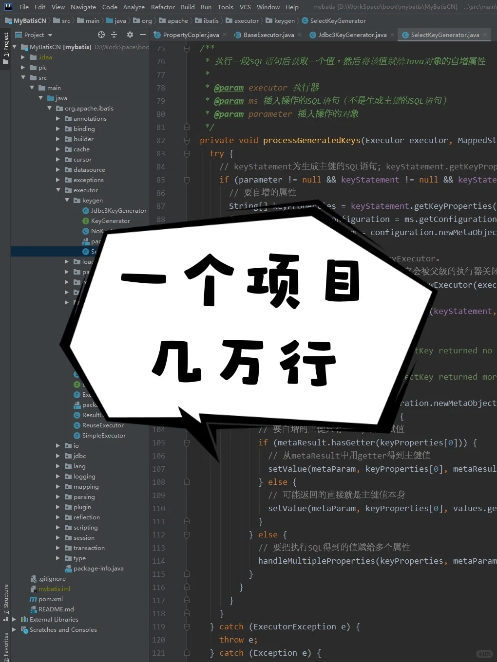 阅读源码如何选项目?码农编程提升秘籍