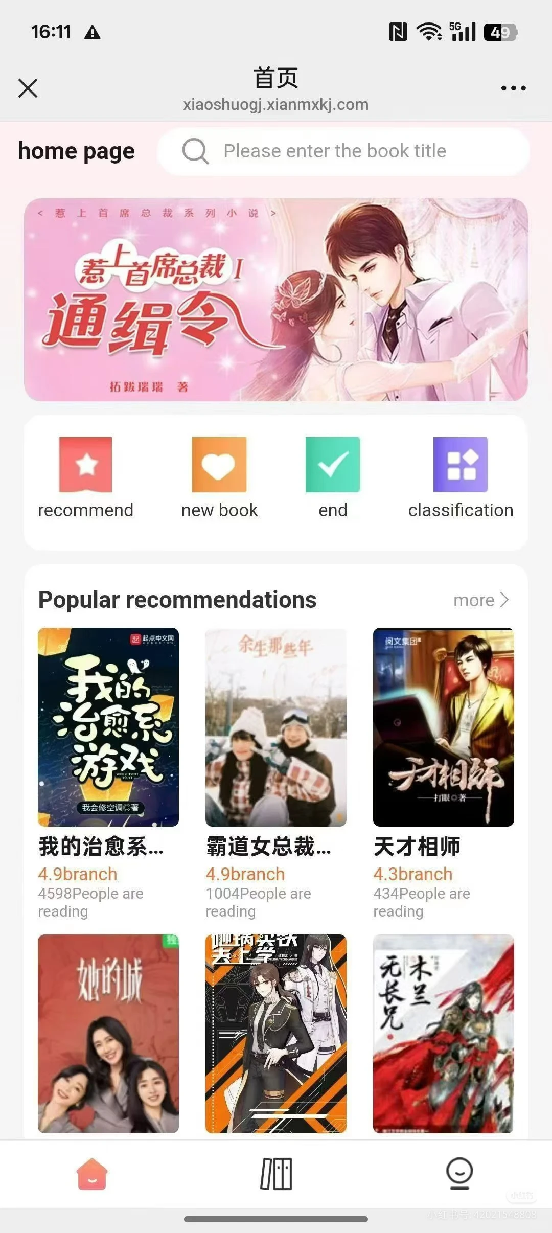 海外小说平台开发