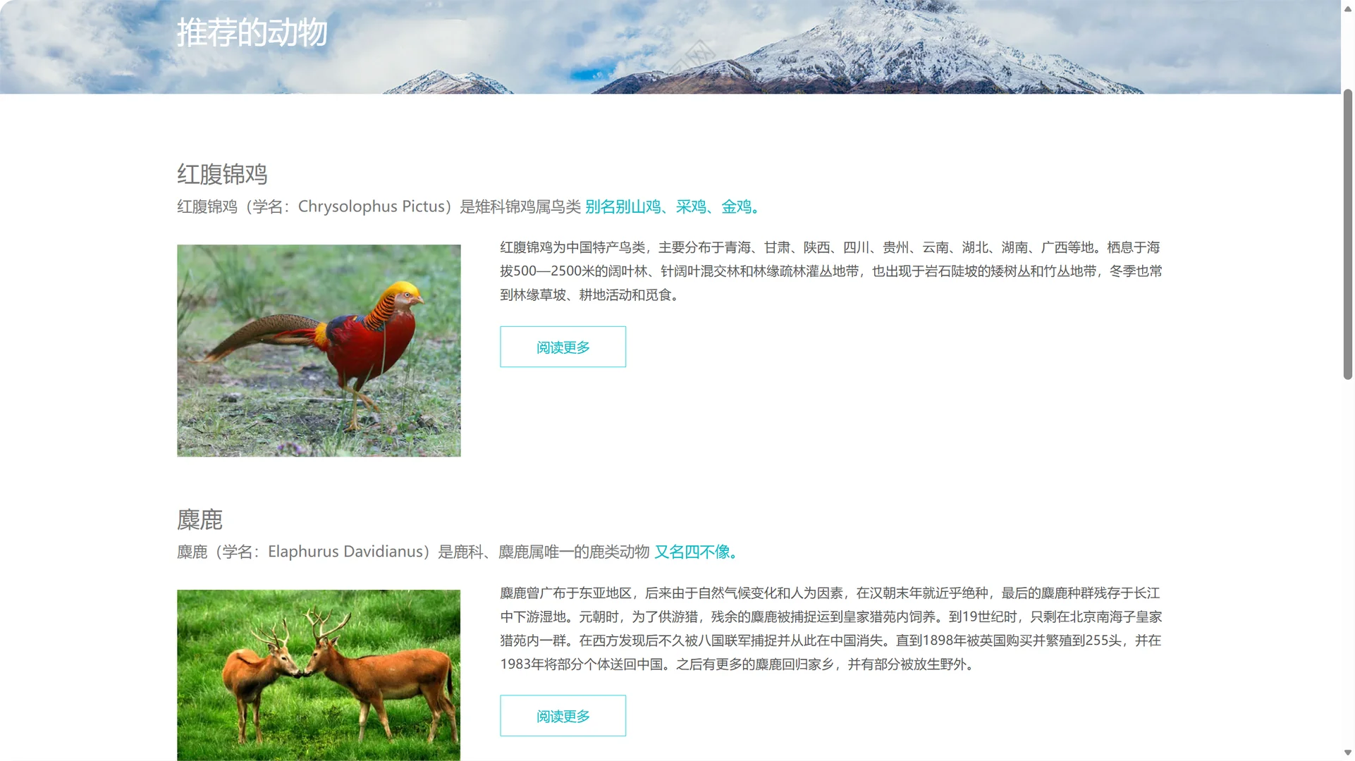 HTML+CSS+JavaScript期末网页项目源码