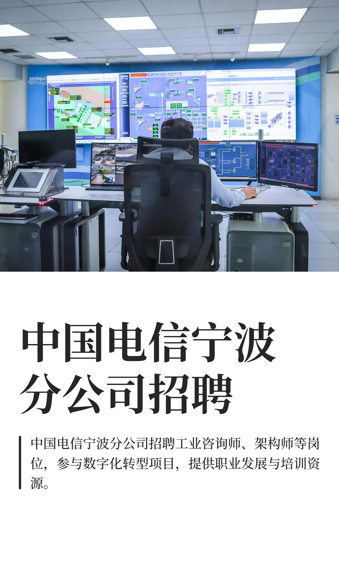 中国电信宁波分公司招聘