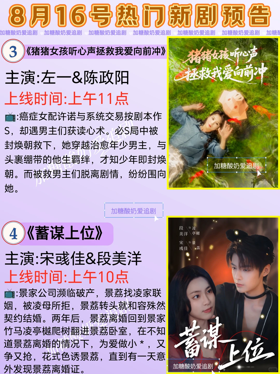 天花板短剧💥8月16日热门短剧预告